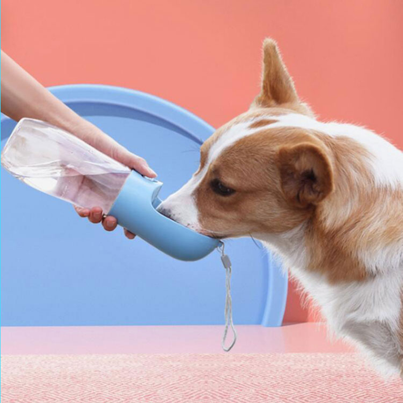 Botella de Agua para Mascotas Joypet – Silicona Grado Alimenticio, Plegable, Antigoteo, Ideal para Paseos y Viajes